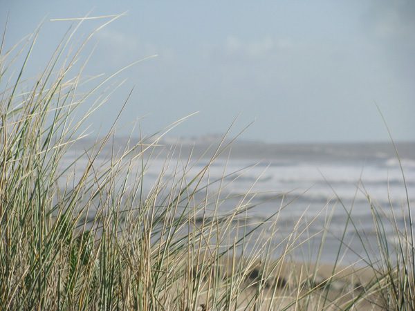 Vendée, photo 1 sur 72