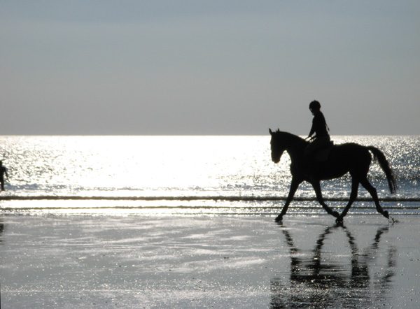 Vendée, photo 7 sur 72