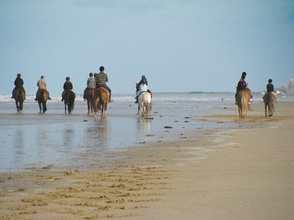 Vendée, photo 8 sur 72