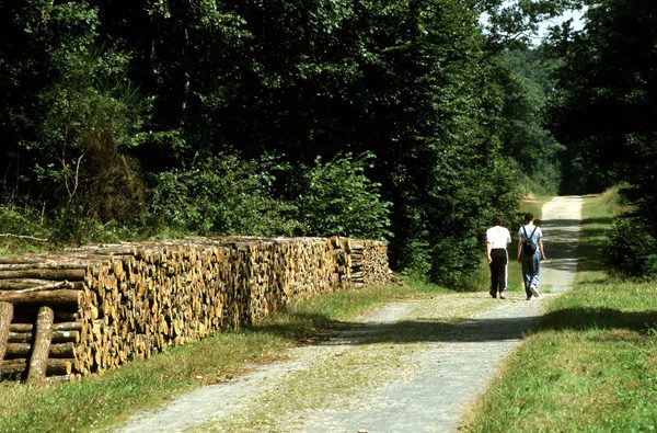 Vendée, photo 14 sur 72