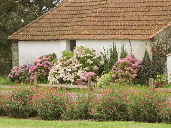 Vendée, photo 23 sur 72