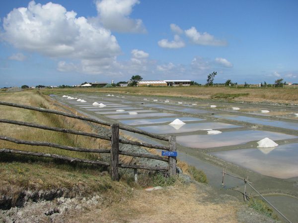 Vendée, photo 28 sur 72