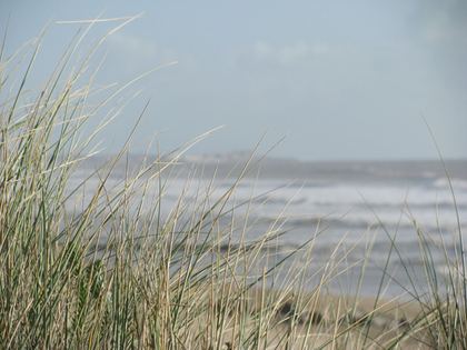 Vendée, photo 1 sur 72