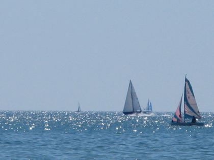 Vendée, photo 5 sur 72
