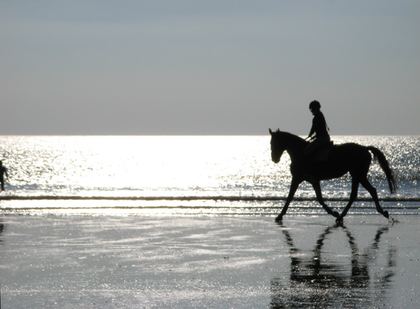Vendée, photo 7 sur 72