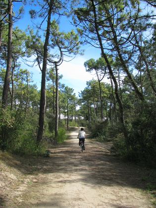 Vendée, photo 13 sur 72