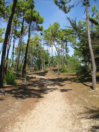 Vendée, photo 15 sur 72