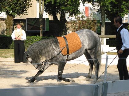 Vendée, photo 18 sur 72