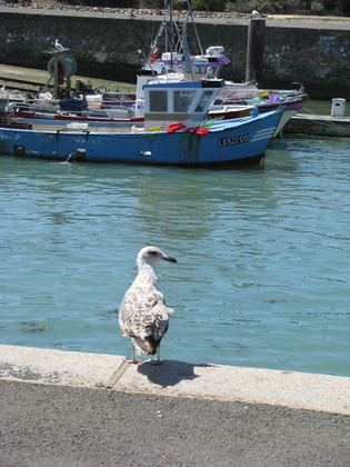 Vendée, photo 41 sur 72